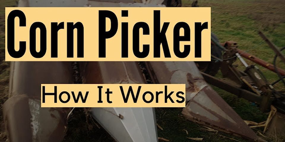 corn picker là gì - Nghĩa của từ corn picker