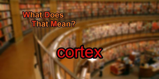 cortex là gì - Nghĩa của từ cortex