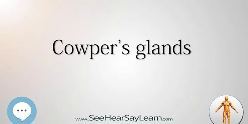 cowpers gland là gì - Nghĩa của từ cowpers gland