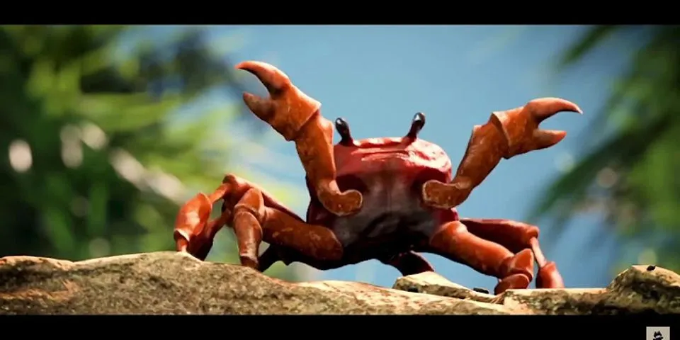 crab dancing là gì - Nghĩa của từ crab dancing
