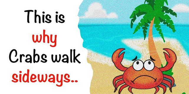 crab walking là gì - Nghĩa của từ crab walking
