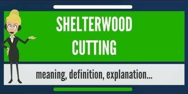 cutting là gì - Nghĩa của từ cutting
