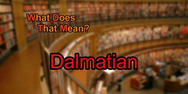 dalmation là gì - Nghĩa của từ dalmation