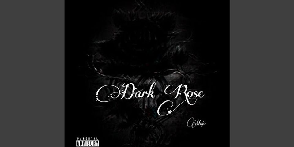 dark rose là gì - Nghĩa của từ dark rose