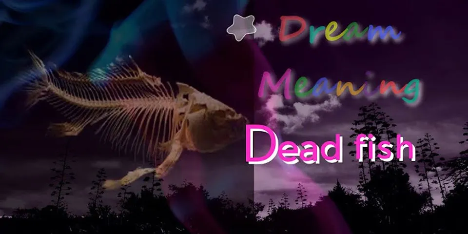 dead fish là gì - Nghĩa của từ dead fish