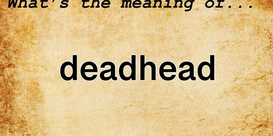 deadhead là gì - Nghĩa của từ deadhead