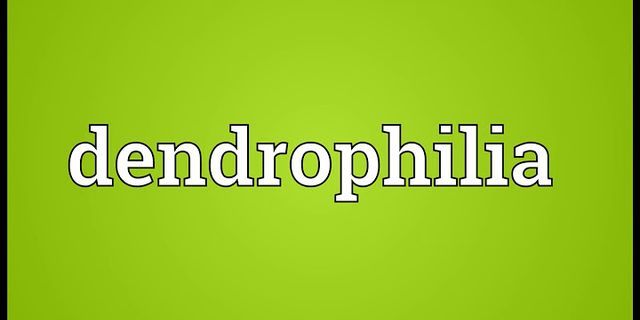 dendrophilia là gì - Nghĩa của từ dendrophilia