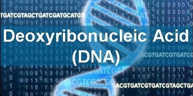 deoxyribonucleic acid là gì - Nghĩa của từ deoxyribonucleic acid