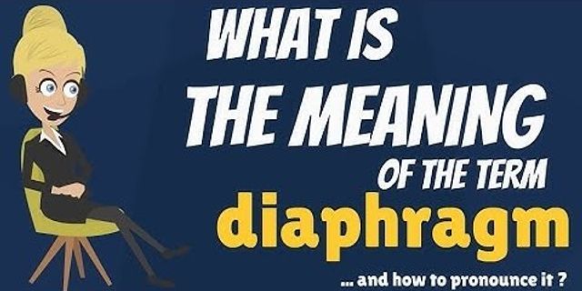 diaphragm là gì - Nghĩa của từ diaphragm