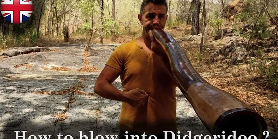 diggeridoo là gì - Nghĩa của từ diggeridoo