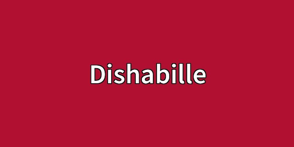 dishabille là gì - Nghĩa của từ dishabille