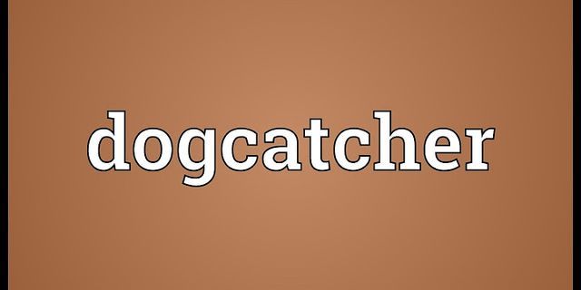 dog catchers là gì - Nghĩa của từ dog catchers