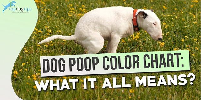 dog poop là gì - Nghĩa của từ dog poop