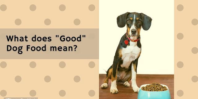dogfood là gì - Nghĩa của từ dogfood