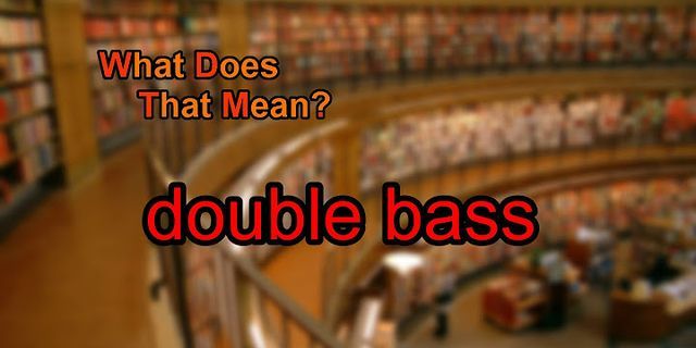 double bass là gì - Nghĩa của từ double bass