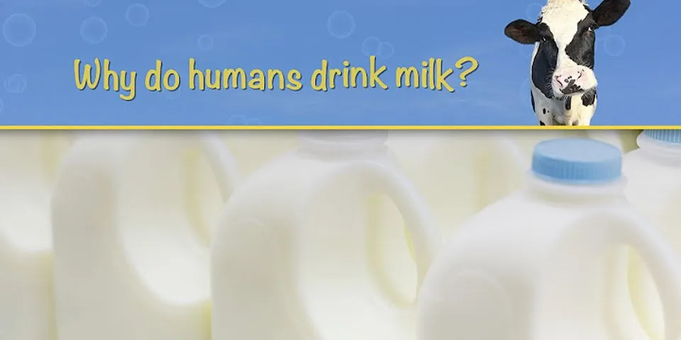 drink milk là gì - Nghĩa của từ drink milk