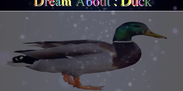 duck duck là gì - Nghĩa của từ duck duck