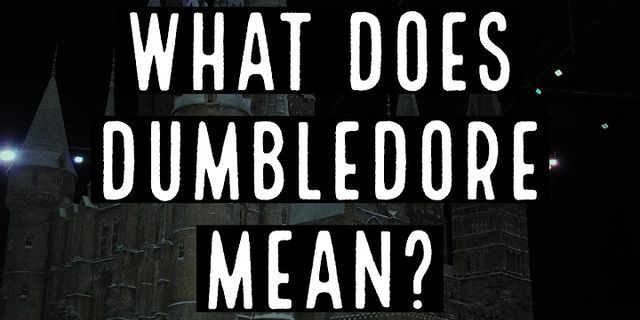 dumbledore là gì - Nghĩa của từ dumbledore