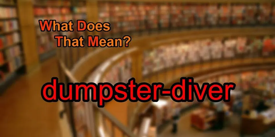 dumpster diver là gì - Nghĩa của từ dumpster diver