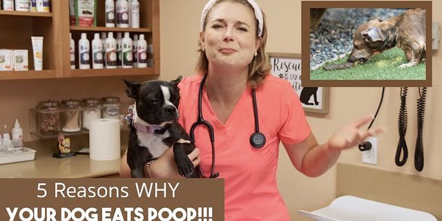 eat poop là gì - Nghĩa của từ eat poop