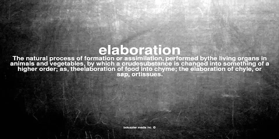 elaboration là gì - Nghĩa của từ elaboration