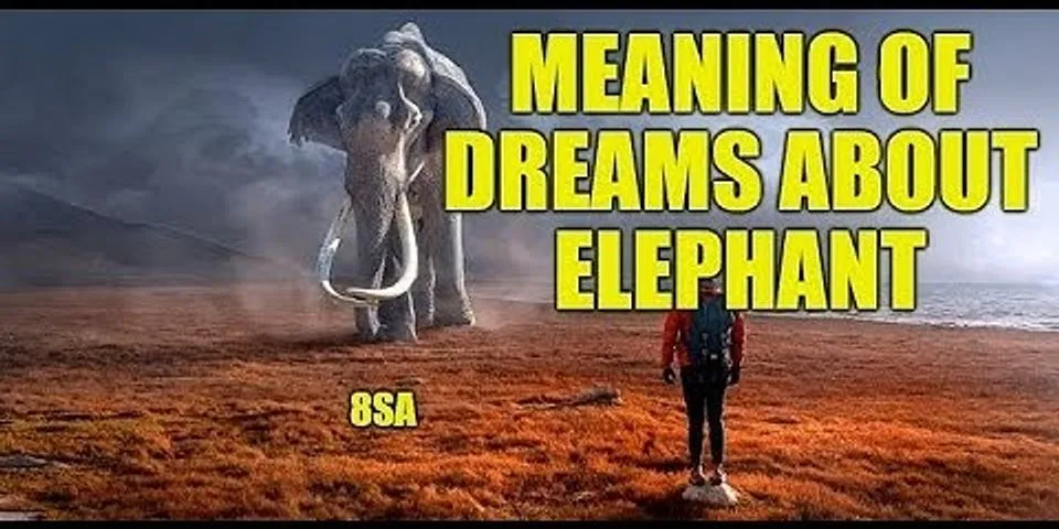 elefant là gì - Nghĩa của từ elefant
