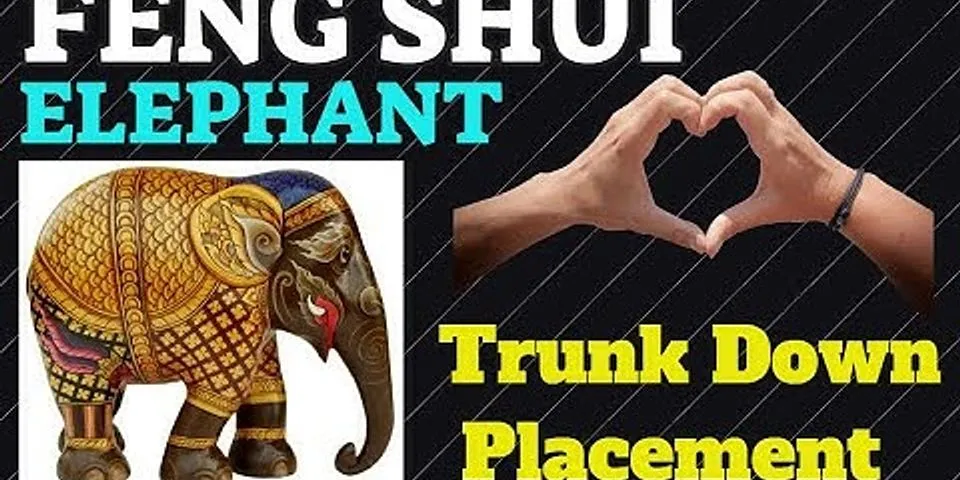 elephant trunk là gì - Nghĩa của từ elephant trunk