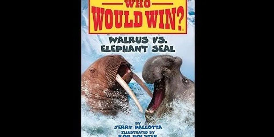 elephant walrus là gì - Nghĩa của từ elephant walrus