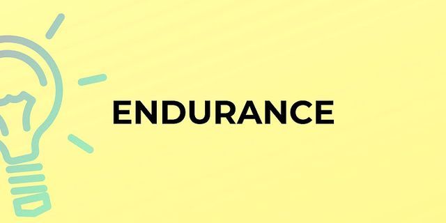 endurance là gì - Nghĩa của từ endurance
