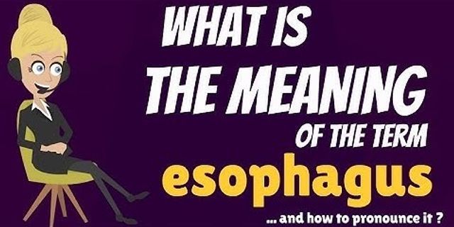 esophagus là gì - Nghĩa của từ esophagus