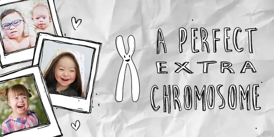 extra chromosome là gì - Nghĩa của từ extra chromosome