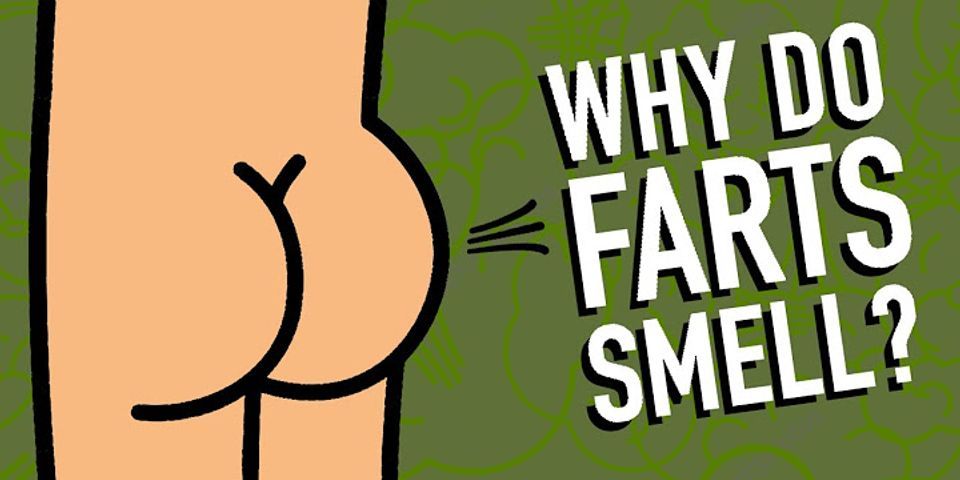 fart sniffing là gì - Nghĩa của từ fart sniffing