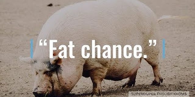 fat chance là gì - Nghĩa của từ fat chance