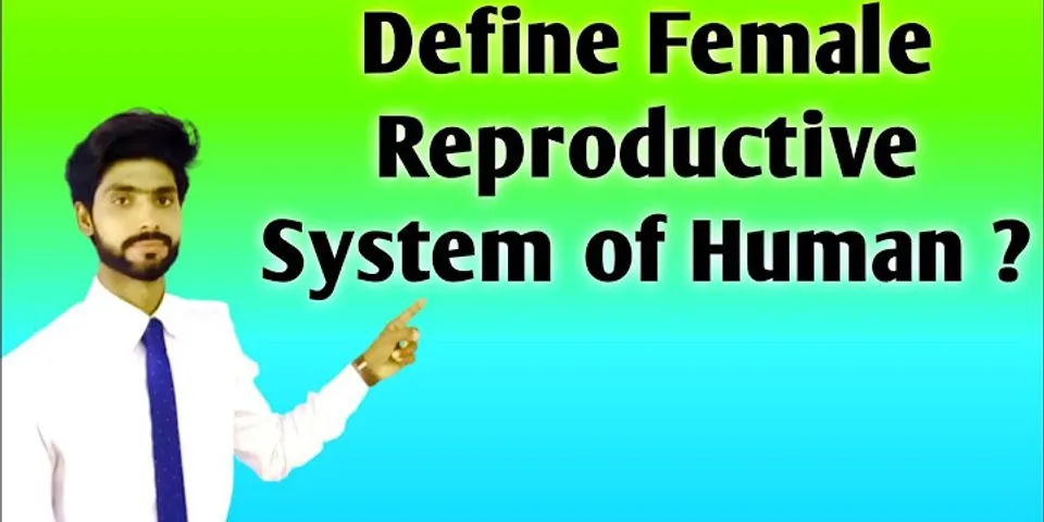 female reproductive system là gì - Nghĩa của từ female reproductive system