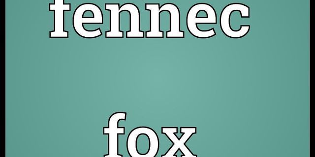 fennec fox là gì - Nghĩa của từ fennec fox