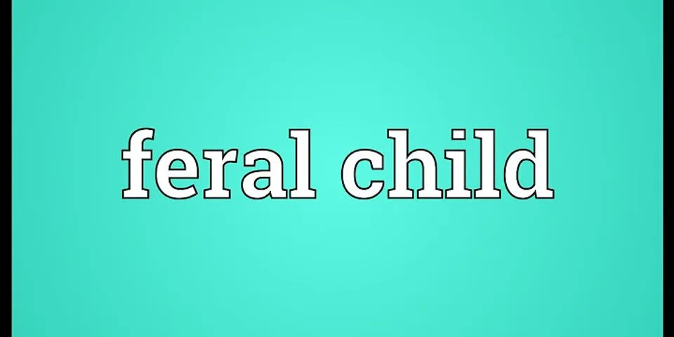 feral child là gì - Nghĩa của từ feral child