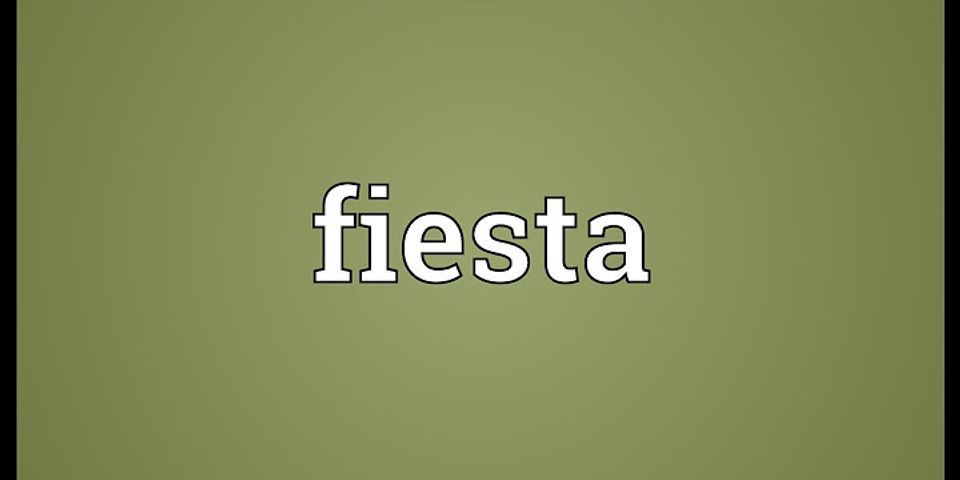 fiesta là gì - Nghĩa của từ fiesta