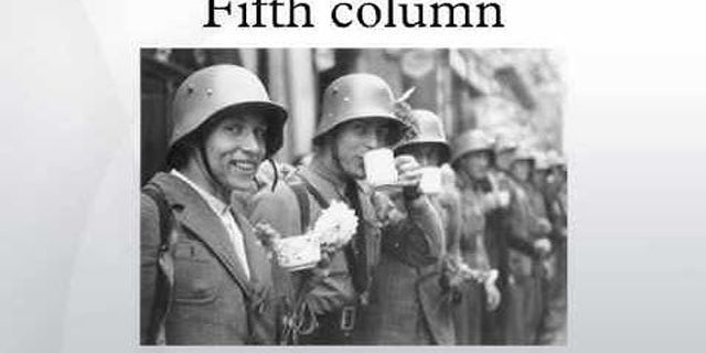 fifth column là gì - Nghĩa của từ fifth column