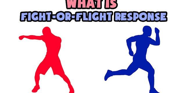 fight or flight là gì - Nghĩa của từ fight or flight