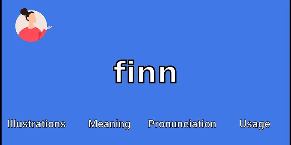 finn là gì - Nghĩa của từ finn