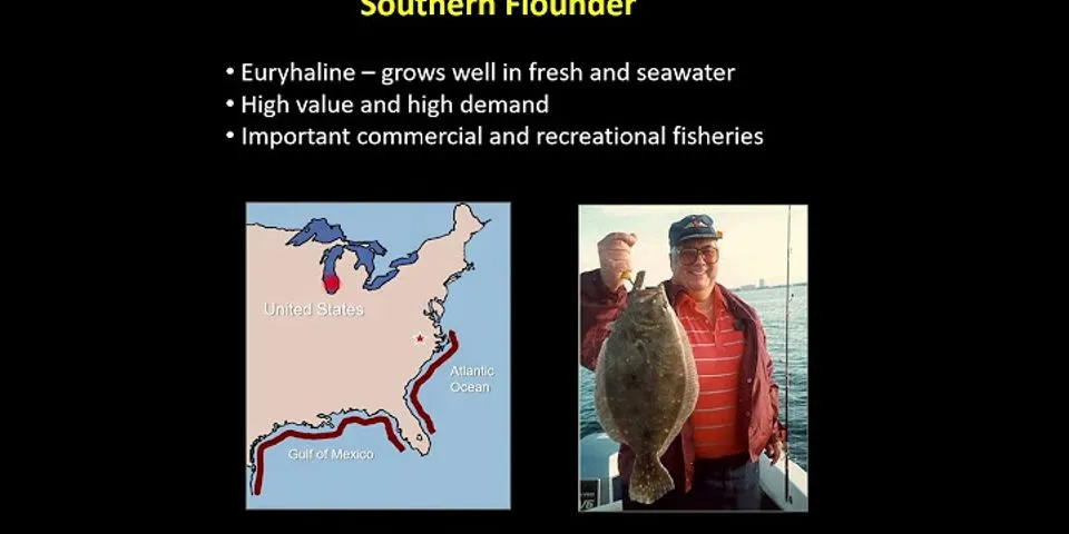 floundering là gì - Nghĩa của từ floundering