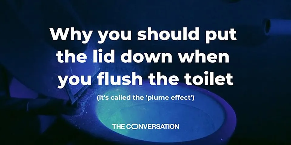 flush down là gì - Nghĩa của từ flush down