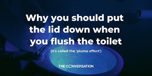 flushing the toilet là gì - Nghĩa của từ flushing the toilet
