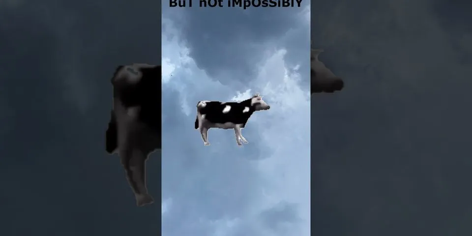 flying cows là gì - Nghĩa của từ flying cows