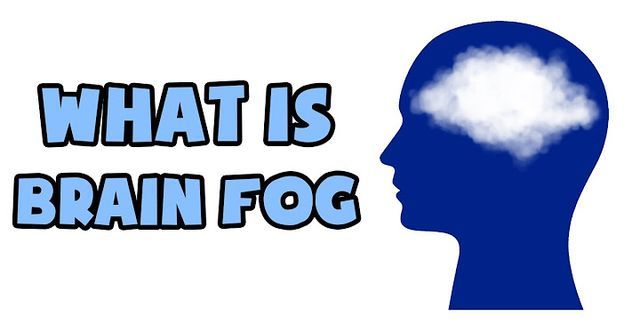 foggy brain là gì - Nghĩa của từ foggy brain