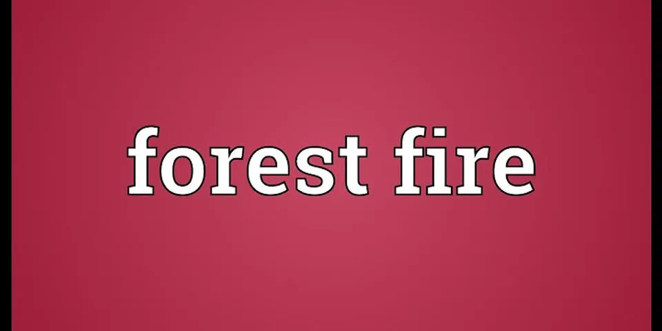 forest fire là gì - Nghĩa của từ forest fire