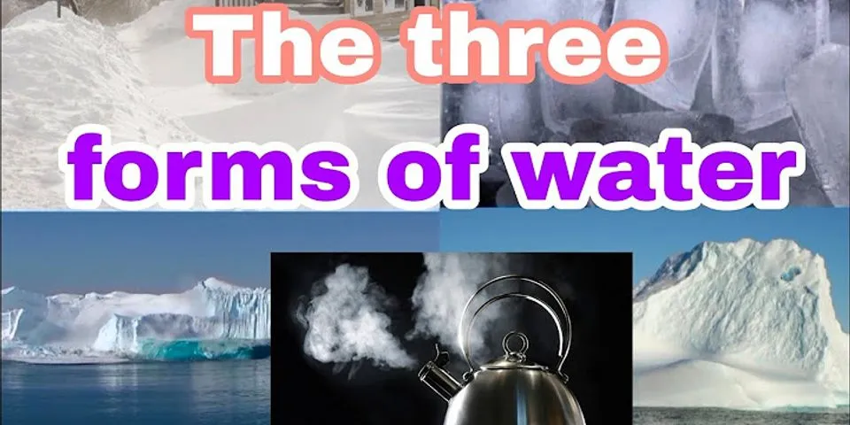 form of water là gì - Nghĩa của từ form of water