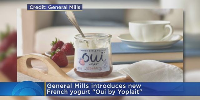 french yogurt là gì - Nghĩa của từ french yogurt