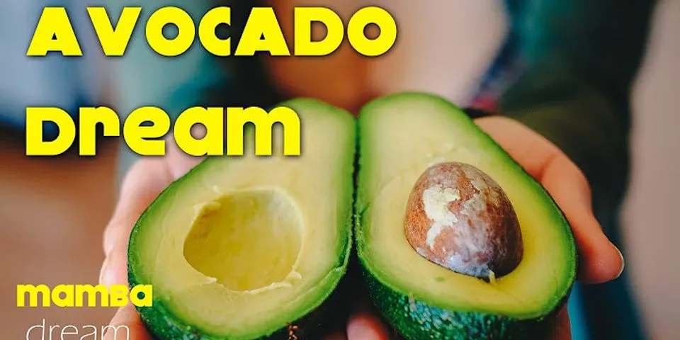 fresh avocado là gì - Nghĩa của từ fresh avocado