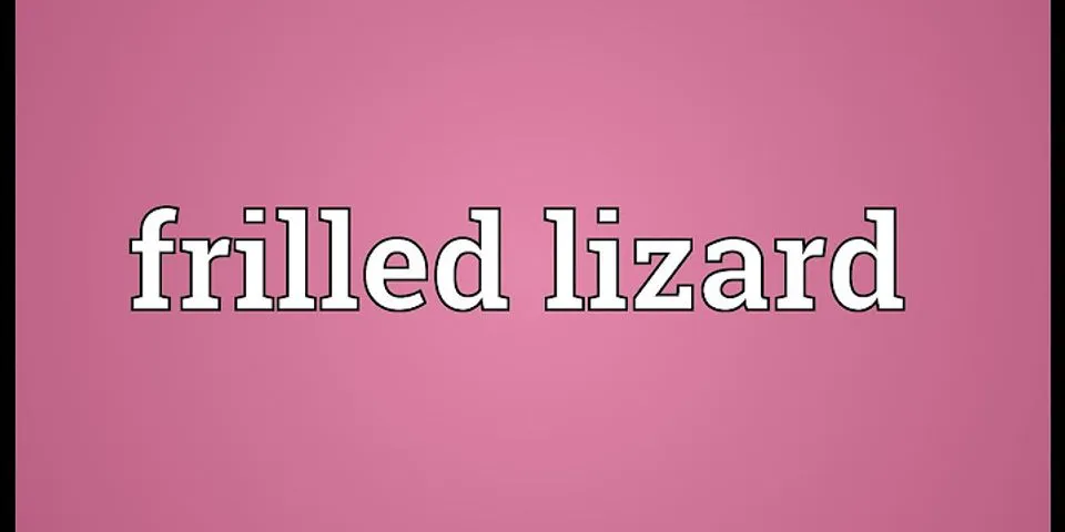 frilled lizard là gì - Nghĩa của từ frilled lizard